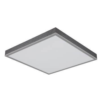 Globo - LED Mennyezeti lámpa LED/24W/230V 3000K 45x45 cm