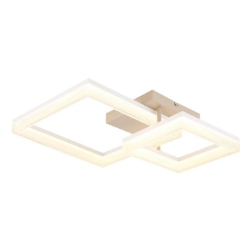 Globo - LED mennyezeti lámpa LED/24W/230V 3000K 46,5x62,5 cm