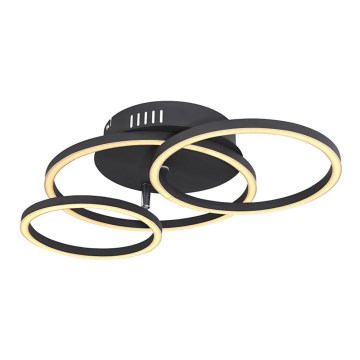 Globo - LED Mennyezeti lámpa LED/30W/230V