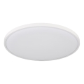 Globo - LED Mennyezeti lámpa LED/32W/230V 4000K átm. 40 cm fehér