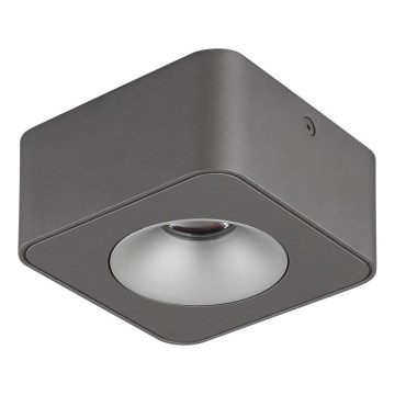 Globo - LED Mennyezeti lámpa LED/6,5W/230V 11,7x11,7 cm