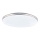 Globo - LED mennyezeti lámpatest LED/24W/230V