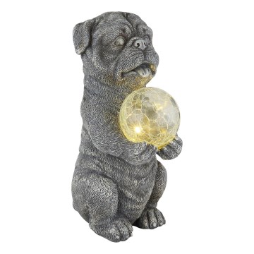 Globo - LED napelemes dekoráció LED/0,02W/3V IP44 300 mAh kutya