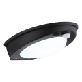 Globo - LED Napelemes lámpa érzékelővel LED/2,5W/3,7V IP54