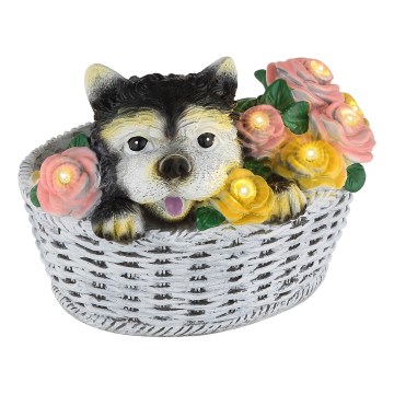 Globo - LED napelemes lámpa LED/1,2V IP44 300 mAh kutya