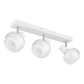 Globo - Spotlámpa 3xE14/40W/230V fehér