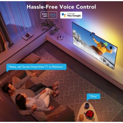 Govee - DreamView TV 55-65 SMART LED háttérvilágítás RGBIC Wi-Fi