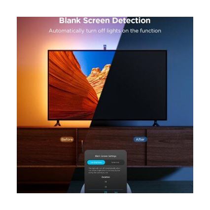 Govee - KÉSZLET 2x Backlight TV 55-65 SMART LED háttérvilágítás RGBICW Wi-Fi