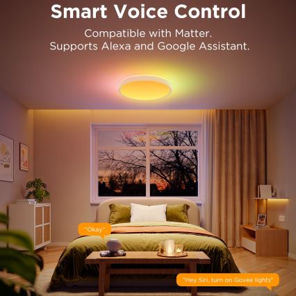 Govee - LED RGBIC Dimmelhető mennyezeti lámpa LED/49W/230V 2700-6500K Wi-Fi átm. 38 cm