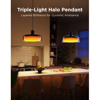 Govee - LED RGBICWW Fényerőszabályozható kábeles csillár LED/21W/230V matt Wi-Fi