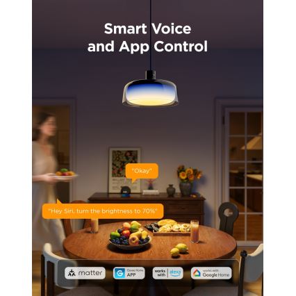 Govee - LED RGBICWW Fényerőszabályozható kábeles csillár LED/21W/230V matt Wi-Fi