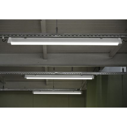 Greenlux GXWP381 - LED Fénycsöves lámpa DUST PROFI MILK LED/55W/230V IP66