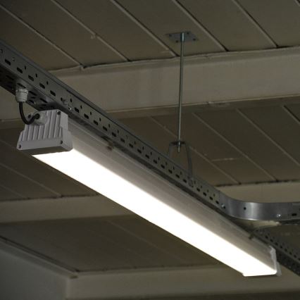 Greenlux GXWP381 - LED technikai fénycsöves lámpatest DUST PROFI MILK LED/53W/230V 4000K IP66