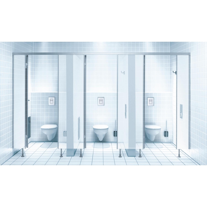 GROHE 38732SD0 - SKATE COSMOPOLITAN nyomólap, 156 × 197 mm, rozsdamentes acél kivitel