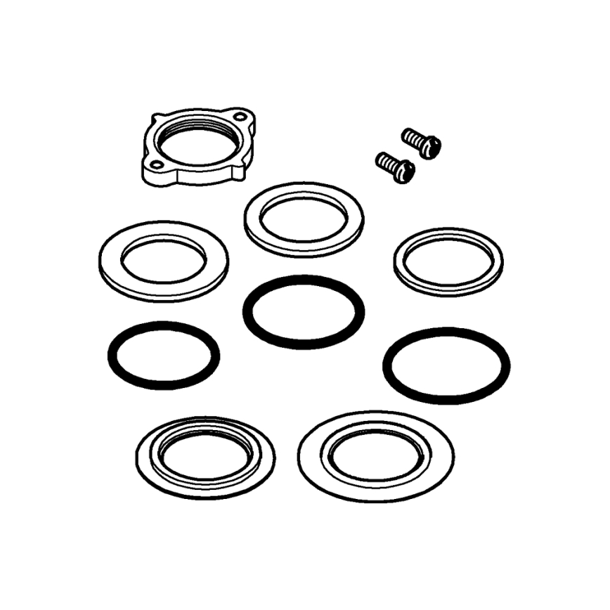 GROHE 48384000 - Fejrögzítő