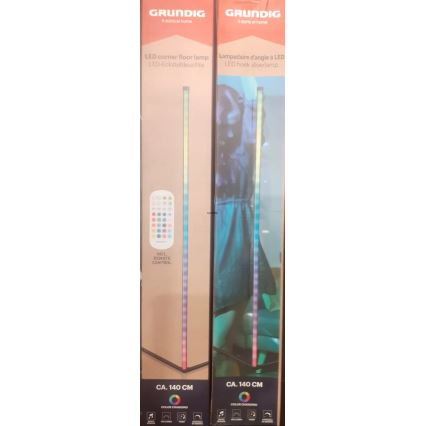 Grundig - RGBW LED fényerőszabályozható állólámpa LED/6W/230V + távirányító