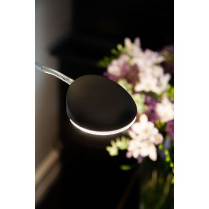 Halo Design 716067 - LED dimmelhető állólámpa VEGAS LED/20W/230V + LED/5W fekete/fényes króm