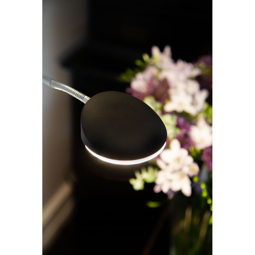 Halo Design 716067 - LED dimmelhető állólámpa VEGAS LED/20W/230V + LED/5W fekete/fényes króm