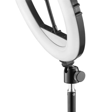 Hama - LED Dimmelhető körlámpa tripoddal LED/10W/5V á. 30 cm + távirányító