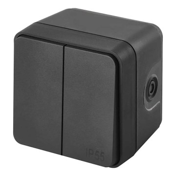 Háztartási 2-gombos váltókapcsoló, 6+6, IP55, antracit