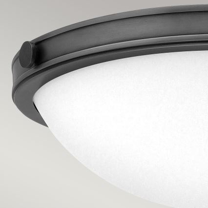 Hinkley - Mennyezeti lámpa COLLIER 2xE27/40W/230V Ø34,6 cm fekete