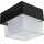HÖFFTECH - LED kültéri fali lámpa LED/4W/230V IP65