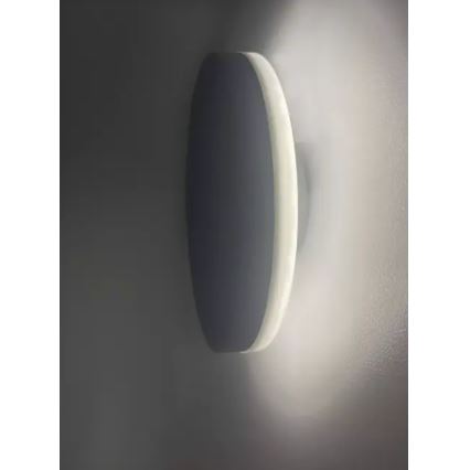 HÖFFTECH - LED kültéri fali lámpatest LED/10W/230V kerek IP65