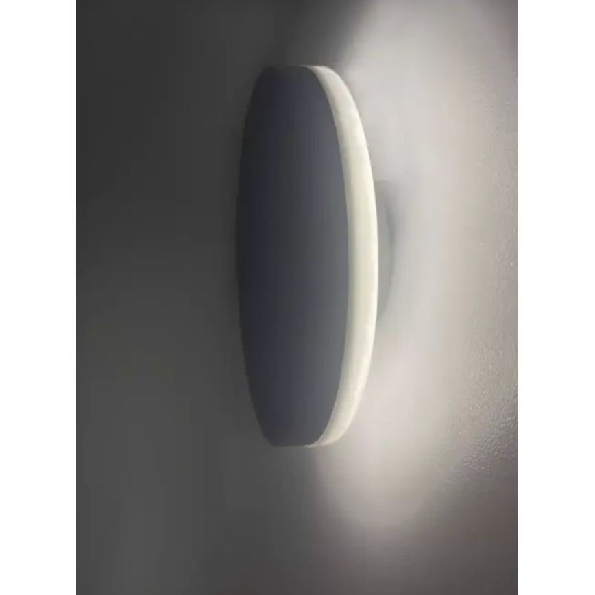 HÖFFTECH - LED kültéri fali lámpatest LED/10W/230V kerek IP65