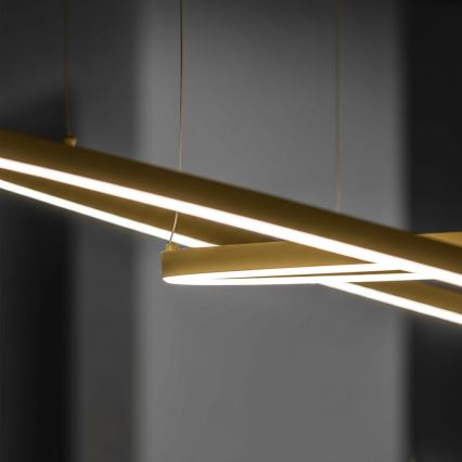 Ideal Lux - kábeles LED csillár ORACLE SLIM LED/37W/230V 3000K CRI 90 átmérő 70 cm arany