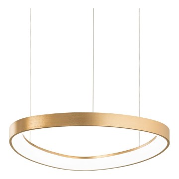 Ideal Lux - GEMINI LED kábelre függesztett csillár LED/36W/230V 2700K átm. 42,5 cm CRI 90 sárgaréz