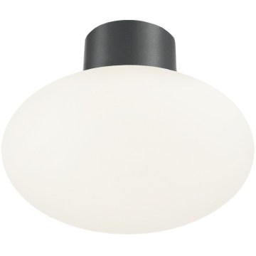 Ideal Lux - Kültéri mennyezeti lámpatest CLIO 1xE27/42W/230V átm. 28 cm IP44 antracit