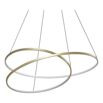 Ideal Lux - LED csillár kábellel OZ LED/75W/230V, átmérő 100 cm, CRI 90, aranyszínű