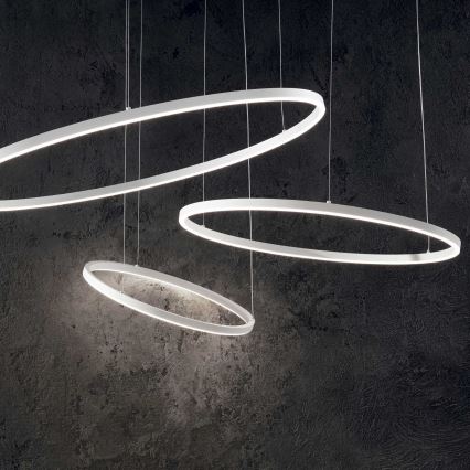 Ideal Lux - LED Dimmelhető csillár zsinóron ORACLE SLIM LED/40W/230V 4000K átm. 70 cm CRI 90 fehér