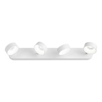 Ideal Lux - LED fali spotlámpa OBY 4xLED/6W/230V CRI 90 fehér