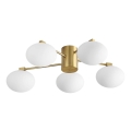 Ideal Lux - LED Felületre szerelhető csillár HERMES 5xG9/3W/230V átm. 60 cm arany