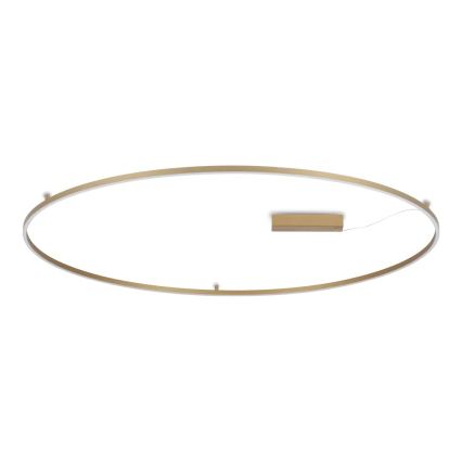 Ideal Lux - LED mennyezeti lámpa ORACLE SLIM LED/81W/230V 3000K CRI 90 átm. 150 cm arany