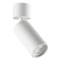 Ideal Lux - LED spotlámpa DYNAMITE 1xGU10/7W/230V CRI 90 fehér