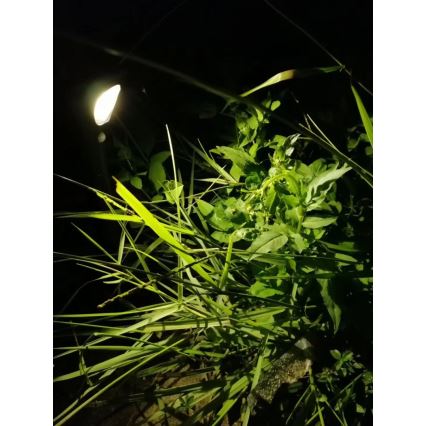 LED napelemes lámpa érzékelővel LED/1W/3,7V 6000K IP65 1500 mAh