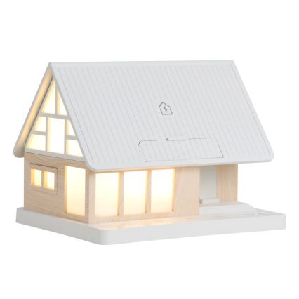 LED asztali lámpa vezeték nélküli töltéssel DREAM HOME, 2W, 230V