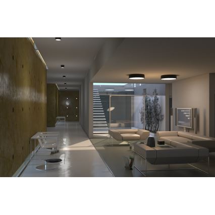 Immax NEO 07023L-15 - LED Dimmelhető mennyezeti lámpa RONDATE LED/12W/230V Tuya