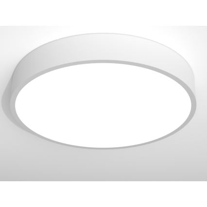 Immax NEO RONDATE - LED Mennyezeti lámpa távirányítással LED/65W/230V