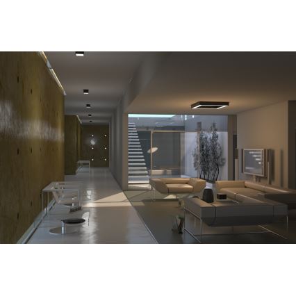 Immax Neo 07072L-15BD - Készlet 2x LED Dimmelhető mennyezeti lámpa CANTO 2xLED/12W/230V + távirányítás Tuya