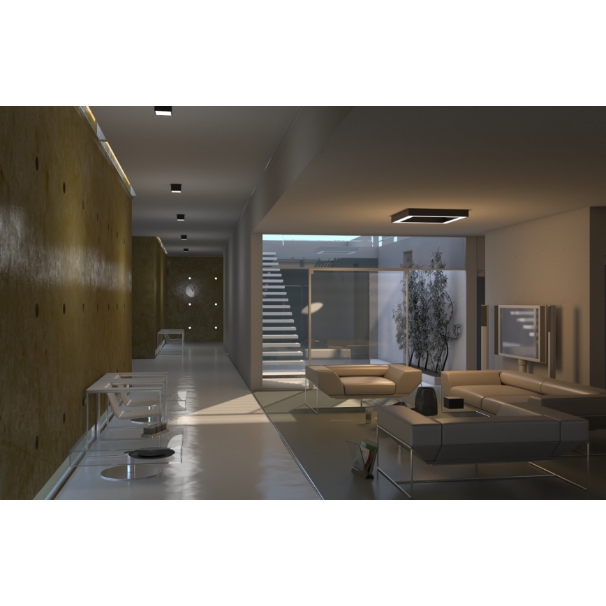 Immax Neo 07072L-15BD - Készlet 2x LED Dimmelhető mennyezeti lámpa CANTO 2xLED/12W/230V + távirányítás Tuya