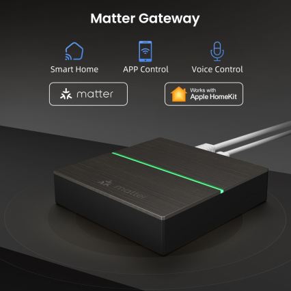 Immax NEO 07117-5 - Okos MATTER BRIDGE Zigbee 3.0 230V Tuya Wi-Fi
