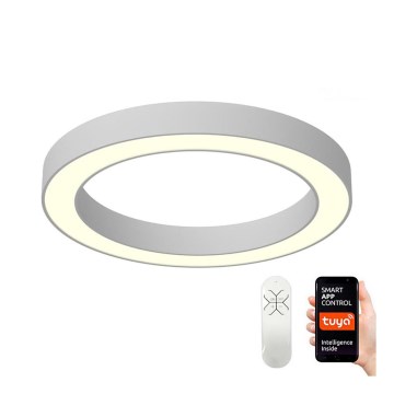 Immax NEO 07144-GR95 - LED Dimmelhető mennyezeti lámpa PASTEL LED/66W/230V Tuya szürke + távirányító