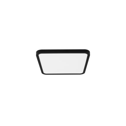 Immax NEO 07167-B40 - LED RGB+CCT Dimmelhető mennyezeti lámpa NEO LITE TUDO LED/50W/230V Wi-Fi Tuya fekete + távirányító