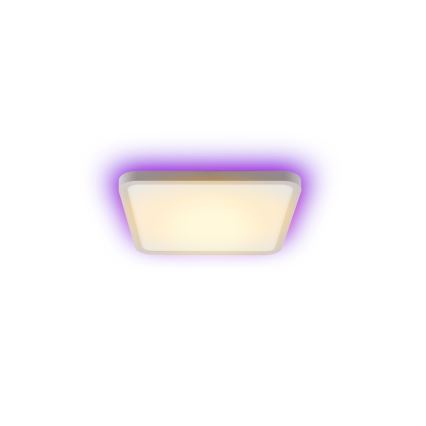 Immax NEO 07168-W40 - LED RGB+CCT Dimmelhető mennyezeti lámpa NEO LITE TUDO LED/50W/230V Wi-Fi Tuya fehér + távirányítás