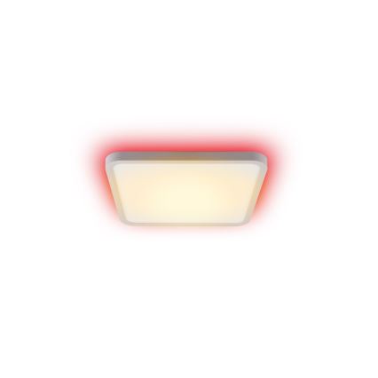 Immax NEO 07168-W40 - LED RGB+CCT Dimmelhető mennyezeti lámpa NEO LITE TUDO LED/50W/230V Wi-Fi Tuya fehér + távirányítás