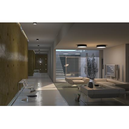 Immax NEO 07200L - LED Dimmelhető mennyezeti lámpa RONDATE LED/18W/230V 3000-6000K átm. 25 cm fekete Tuya + távirányítás