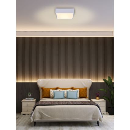 Immax NEO 07238L - LED dimmelhető mennyezeti lámpa CANTO LED/22W/230V fehér Tuya + távirányító